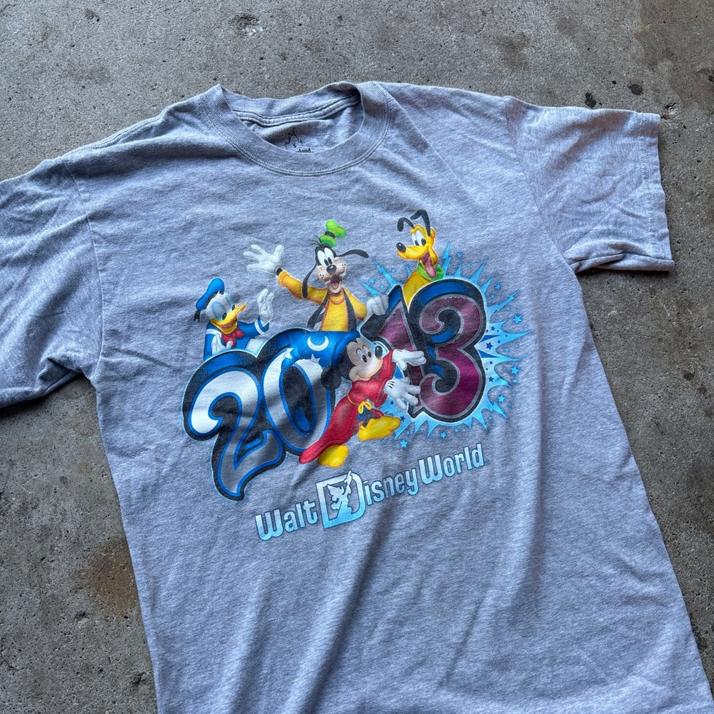 Disney World 2013 Mickey Mouse Donald Goofy Pluto T-Shirt Gray Small Hanes